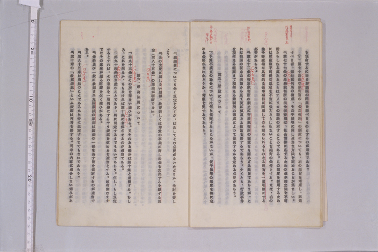『東京帝国大学憲法研究委員会報告書』(標準画像)