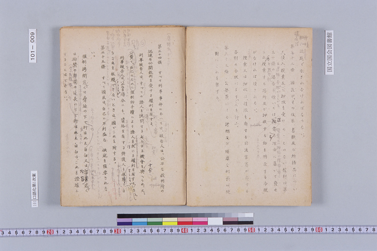 『日本国憲法［口語化第一次草案］』(標準画像)