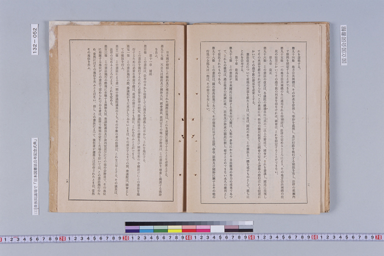 『昭和二十一年十一月三日  日本國憲法公布記念式典關係  近藤事務官』(標準画像)