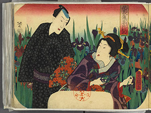 「花菖蒲皐月彩色」の画像左ページ