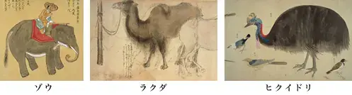 ゾウ・ラクダ・ヒクイドリの図