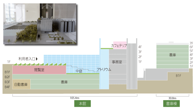 関西館の本館と書庫棟を横から見た断面図。本館の1階が利用者入口、地下1階が閲覧室、4階がカフェテリア