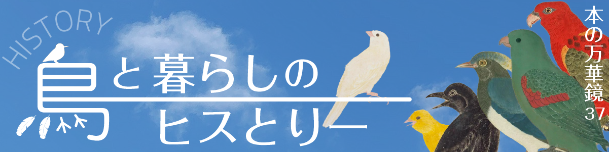第37回 鳥と暮らしのヒスとりー