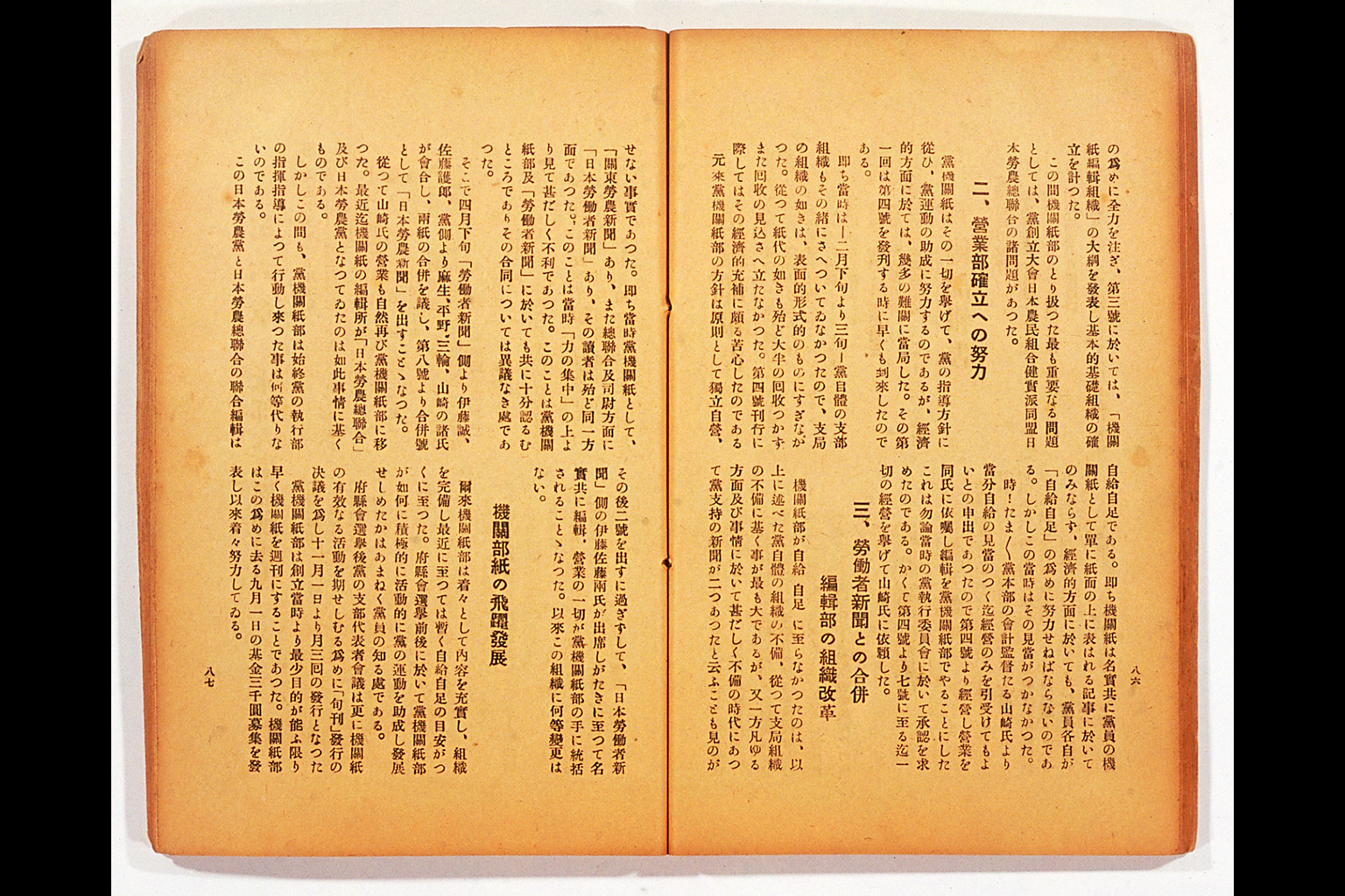 日本労農党第一回全国大会提出本部議案及報告 (拡大画像)