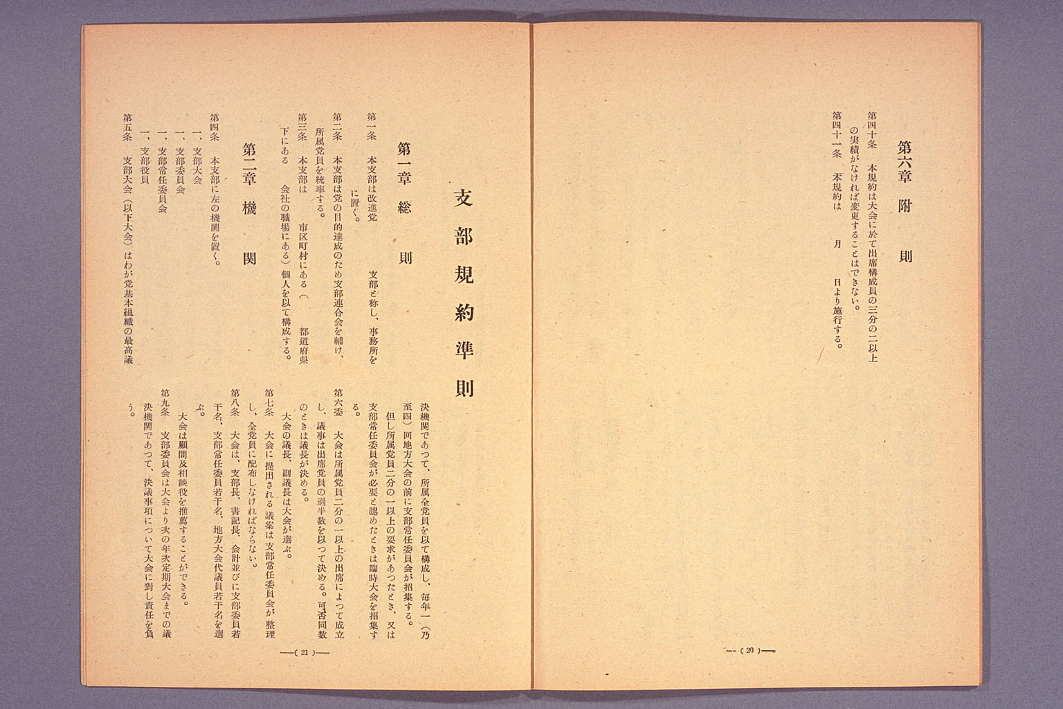 Platform of Japan Reform Party, declaration, release of policy guidelines, and others (larger)