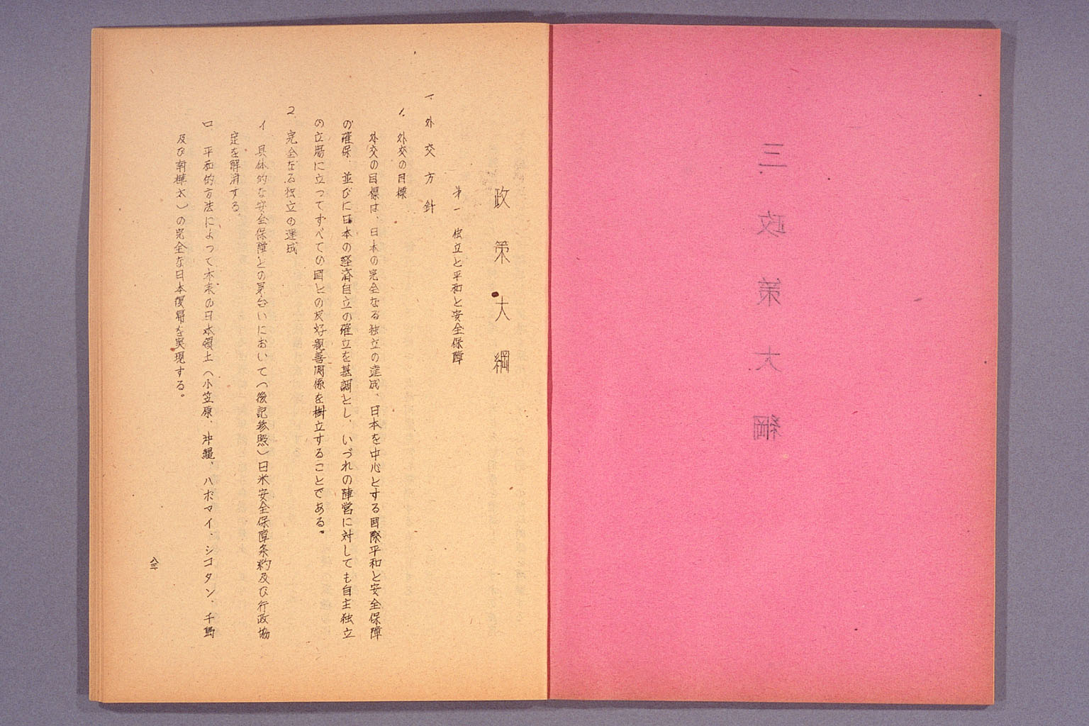 Party platform of Japan Socialist Party, party policies, and party guideline (larger)