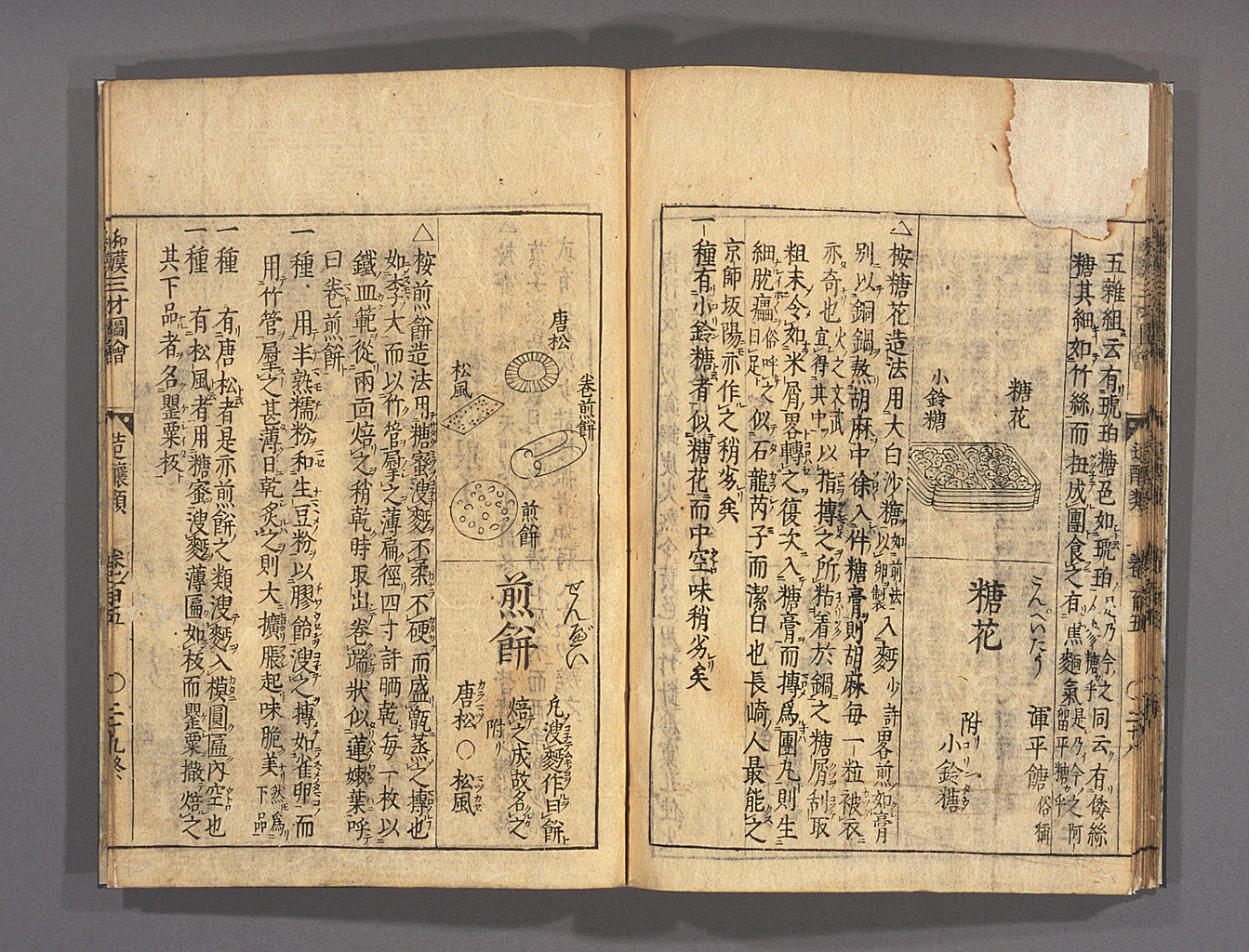 和漢三才図会（拡大画像 209-003） | 江戸時代の日蘭交流